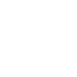 logo polygon studios white